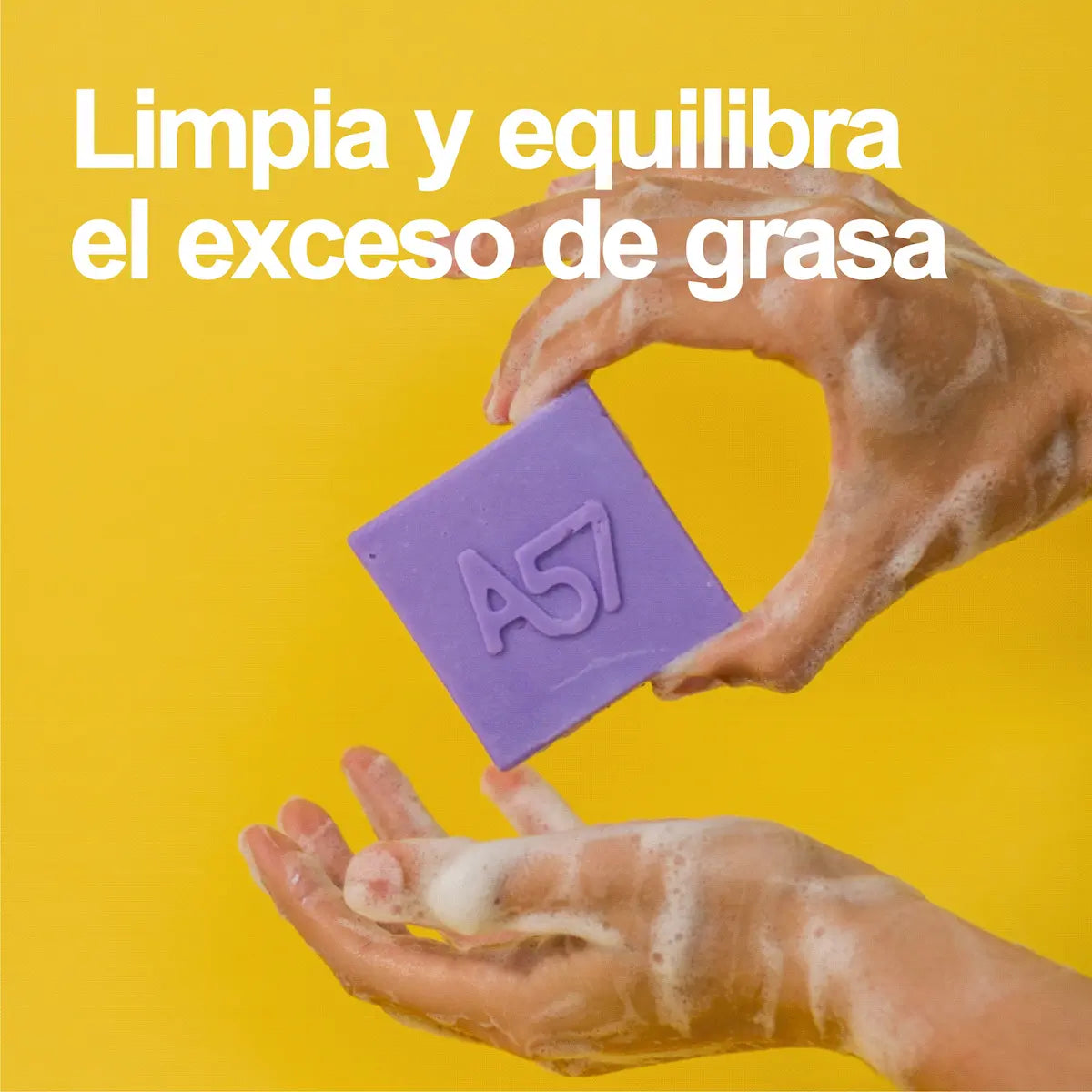 Shampoo sólido equilibrante A57 en barra para cabello graso, con karité y aceite de semilla de uva