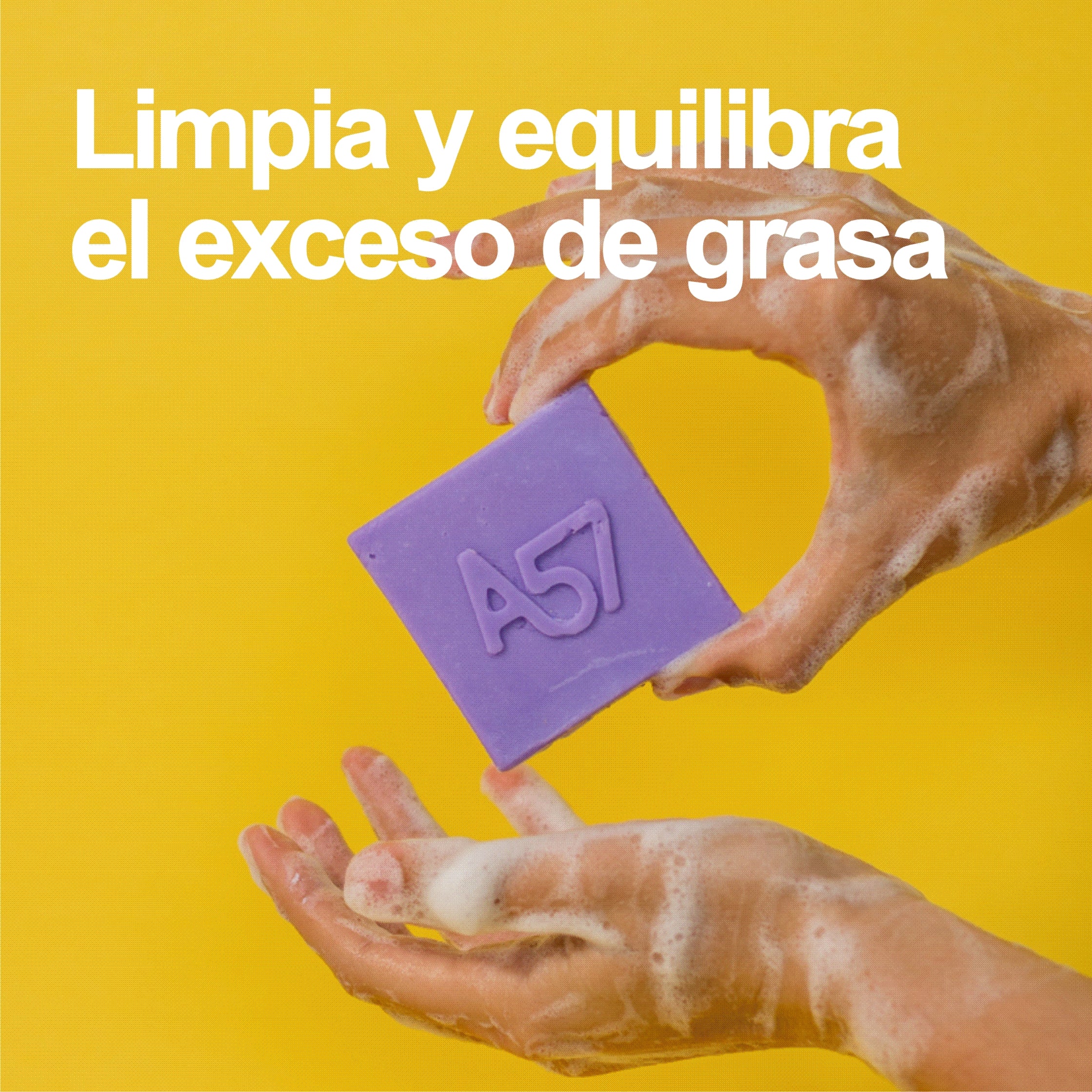Shampoo Sólido Equilibrante para cabello graso