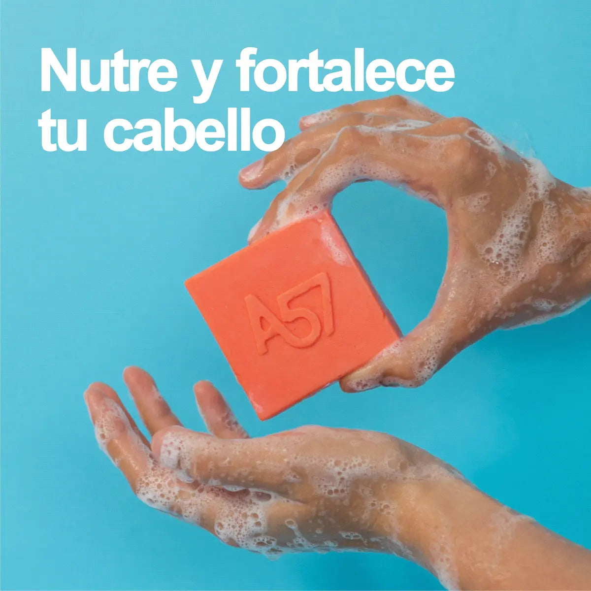 Shampoo sólido nutritivo A57 en barra para cabello seco o dañado — con aceite de ricino y manteca de karité, sin sulfatos ni plástico