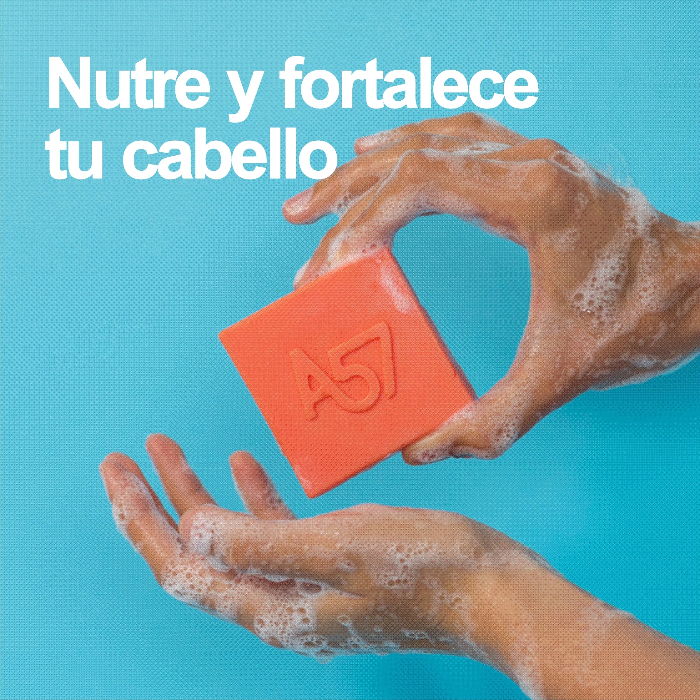 Shampoo Sólido Nutritivo para cabello seco o dañado